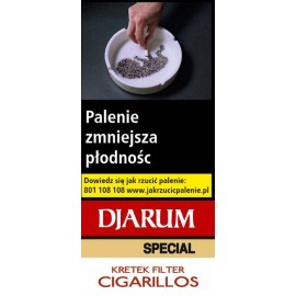 Cygaterki DJARUM SPECIAL FILTER (10)