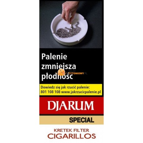 Cygaretki DJARUM SPECIAL FILTER (10)