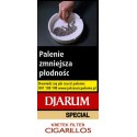 Cygaretki DJARUM SPECIAL FILTER (10)