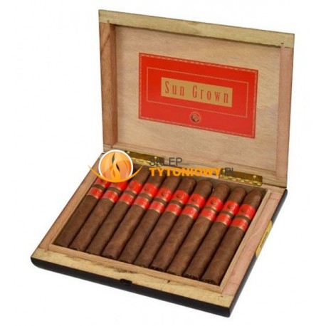 Cygaro ROCKY PATEL SUN GROWN ROBUSTO (20)