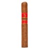 Cygaro ROCKY PATEL SUN GROWN ROBUSTO (1)