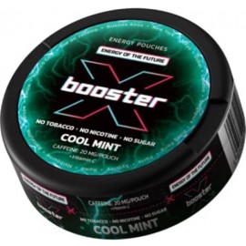 Woreczki nikotynowe X BOOSTER COOL MINT 20mg