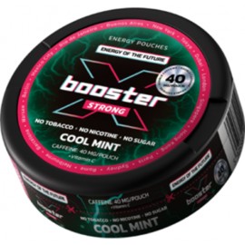 Woreczki nikotynowe X BOOSTER COOL MINT 40mg