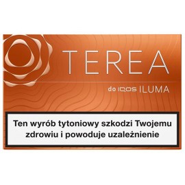Wkłady tytoniowe TEREA AMBER (10)