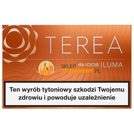 Wkłady tytoniowe TEREA AMBER (10)