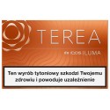 Wkłady tytoniowe TEREA AMBER (10)