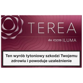 Wkłady tytoniowe TEREA RUSSET (10)
