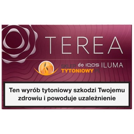 Wkłady tytoniowe TEREA RUSSET (10)