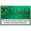 Wkłady tytoniowe TEREA GREEN (10)