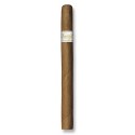 Cygaro DAVIDOFF SIGNATURE AMMBASSADRICE (1)
