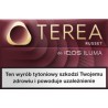 Wkłady tytoniowe TEREA RUSSET (10)