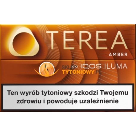 Wkłady tytoniowe TEREA AMBER (10)